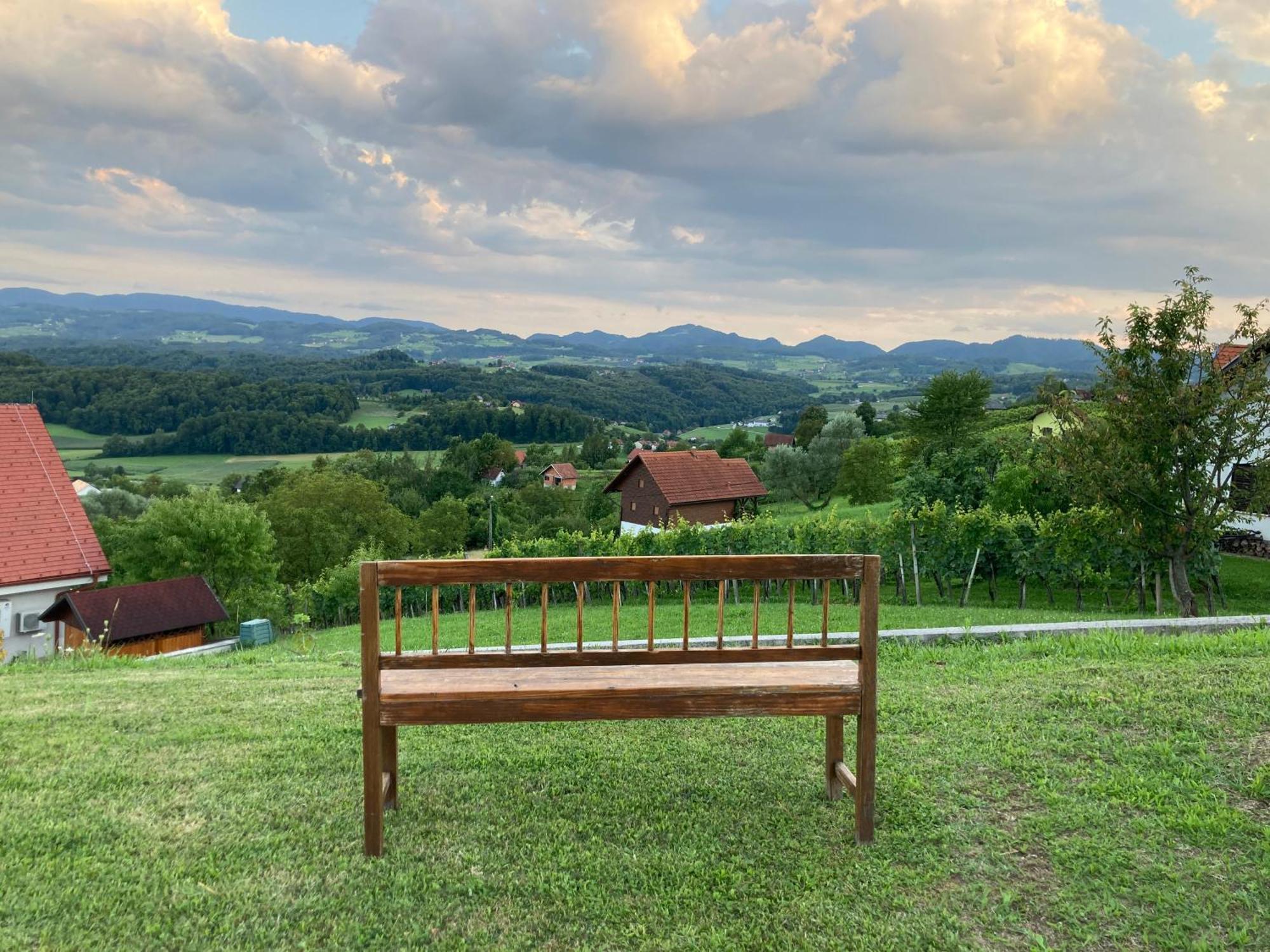 Morning Coffee W A View :) Apartment Podcetrtek Bagian luar foto